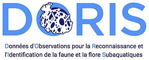 Logo DORIS