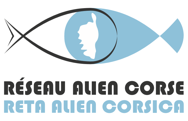 Logo Réseau ALIEN