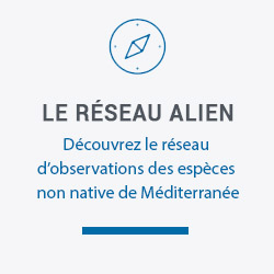 Le Réseau ALIEN en Corse