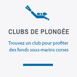 Trouver un club de plongée Corse